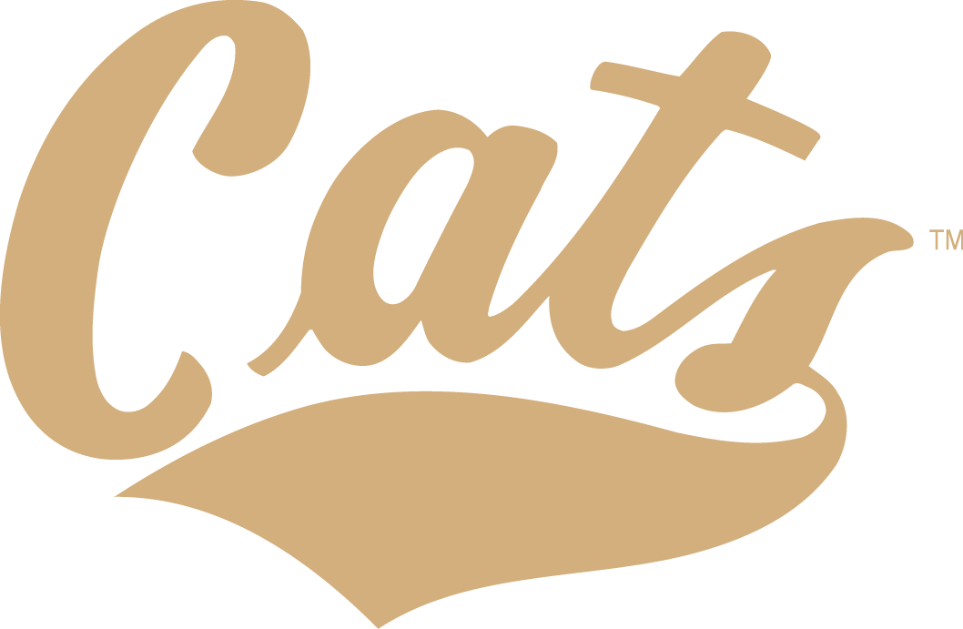 Montana State Bobcats 2004-2012 Wordmark Logo iron on paper